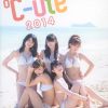 写真集 ℃-ute アロハロ 2014